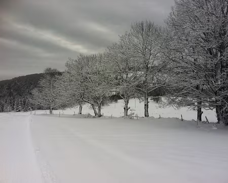 PXL012 Le paysage est dégagé, la vue est superbe...!