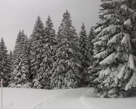 PXL014 Les pistes ont été très bien damées.