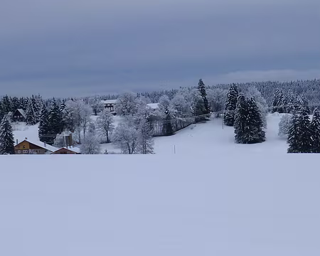 PXL003 La neige de la nuit a bien amélioré le paysage !