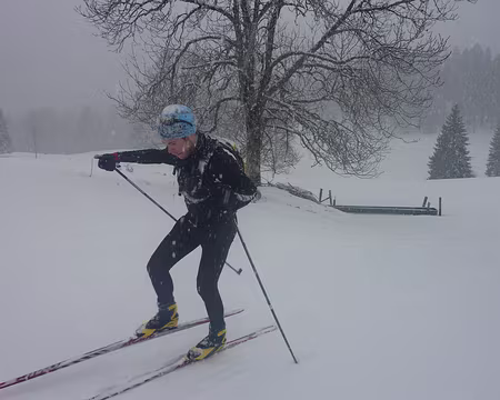 2014-02 Jura Suisse 03 Tempête de neige au 