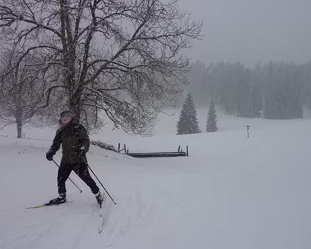 2014-02 Jura Suisse 05 Tempête de neige au 