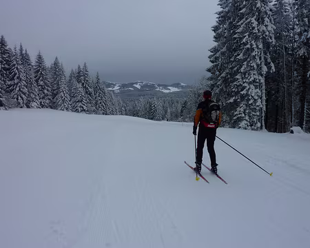 2014-02 Jura Suisse 10 Descente face aux sommets du Jura Suisse