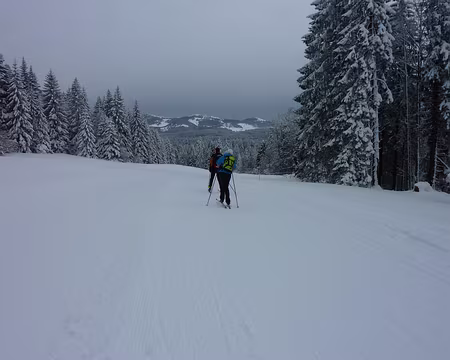 2014-02 Jura Suisse 11 Descente face aux sommets du Jura Suisse