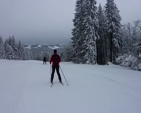 2014-02 Jura Suisse 13 Descente face aux sommets du Jura Suisse