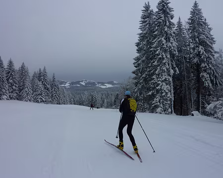 2014-02 Jura Suisse 14 Descente face aux sommets du Jura Suisse