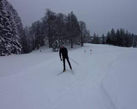 2014-02 Jura Suisse 16 Direction le col de l'Etroit