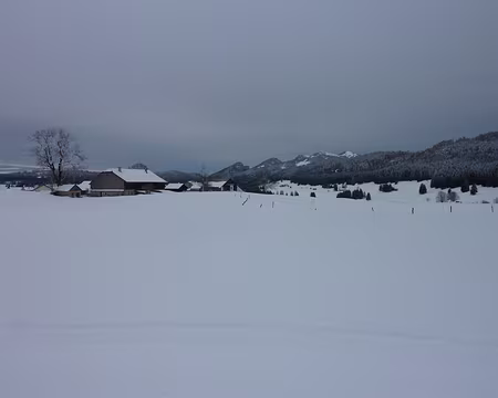 2014-02 Jura Suisse 18 Les Grangettes et au loin le Chasseron