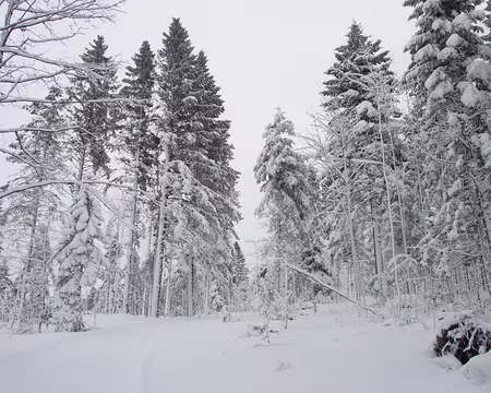 P2160087 Repeint en blanc !