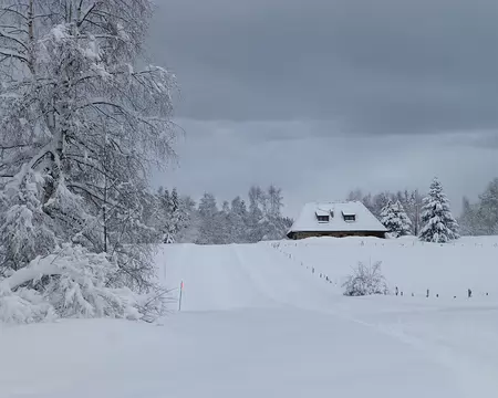 PXL003 le damage a été un peu oublié ce matin ...