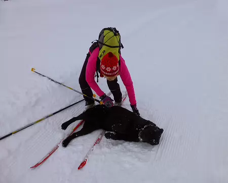 PXL007 "Alors mon minet", comment veux tu que je reparte skier ?