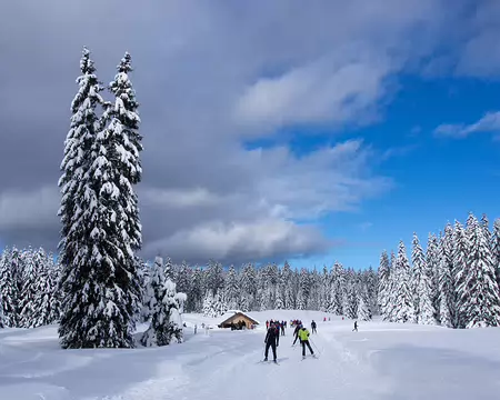 P2094329 Teppe de Larcoutier