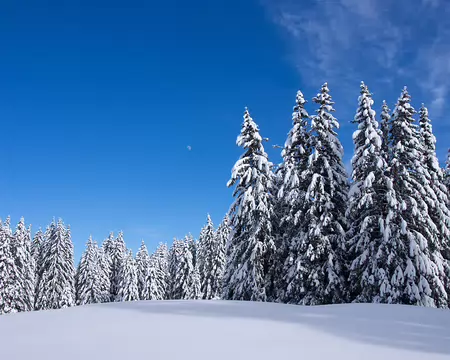 P2094330 Teppe de Larcoutier