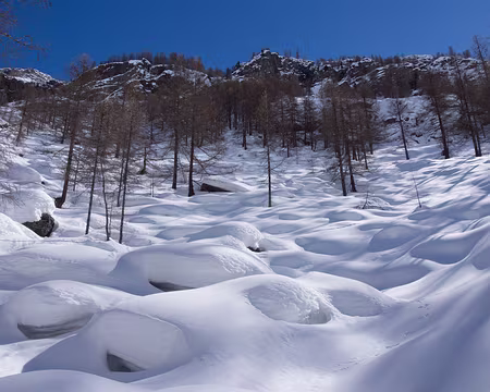 P3080606 Piste de bosses naturelle