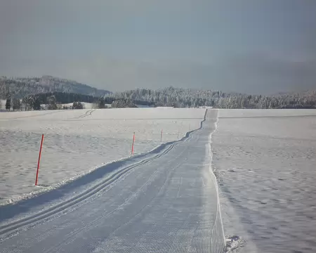 PXL005 L'émotion de la piste vierge !