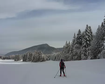 PXL010 Vers la Vraconnaz