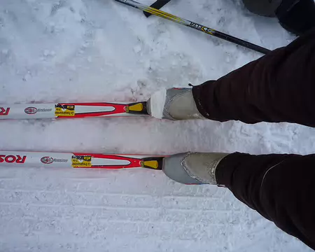 PXL028 Chaussure très malade ... (merci Bruno, la droite a tenu ; la gauche a lâché !)