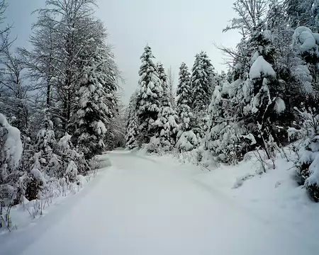 PXL032 Avant de tomber sur une piste forestière