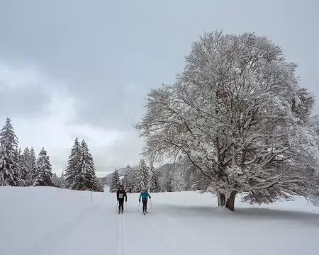 PXL036 Et soudain au sommet du Mont des Cerfs ...