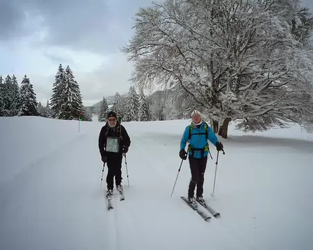 PXL037 Des randonneurs nordiques ... qui, d'un pas décidé ...