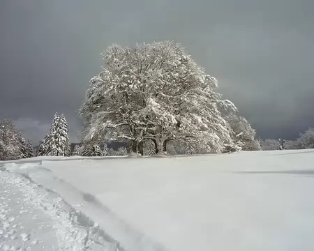 PXL042 Le Mont des Cerfs