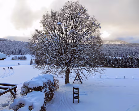 PXL004 A gauche, le départ des randonneurs nordiques