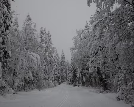 001 Il a bien neigé depuis hier.