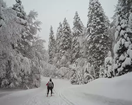 PXL003 Le damage est vite recouvert par la neige fraîche