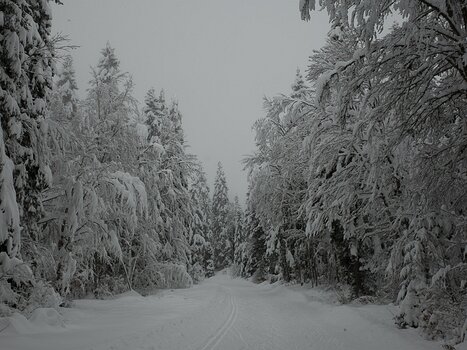 Alain Alain Z, détail sortie