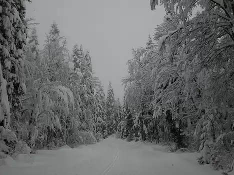Alain Alain Z, détail sortie