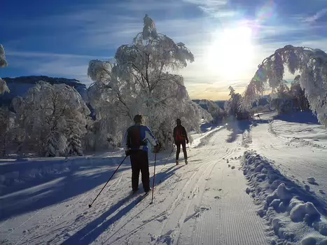 Bernadette Bernadette P, détail sortie
