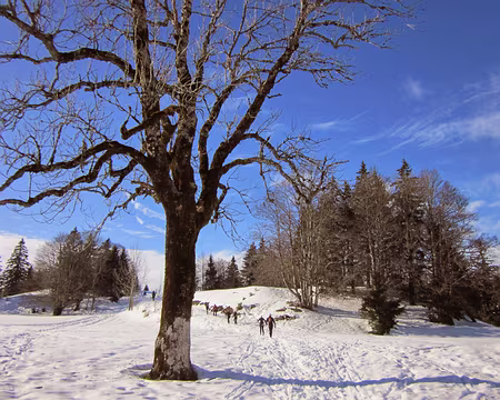 PXL003 tarte au citron ou point de vue, le second choix l'emporte