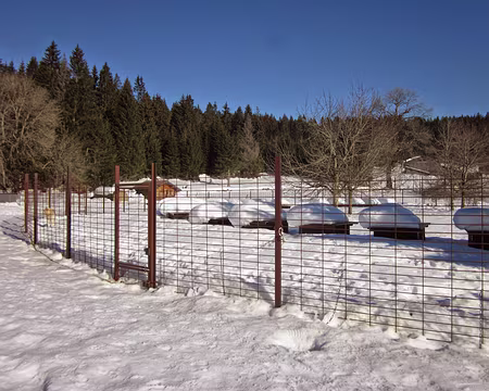 PXL010 Abris des chiens de traîneau à la Combe des Cives