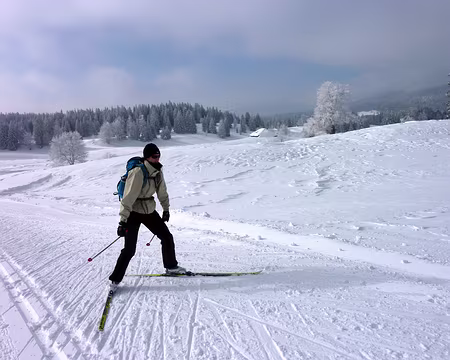 04z2898 Céline à l’œuvre