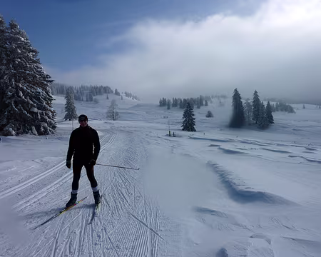 10 Il est (skieur) libre Bernard