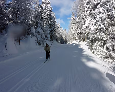 12 En skating dans les rails