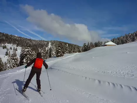 Bernadette Bernadette P, détail sortie