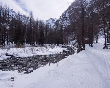 P3072085 Valnontey, itin�raire rarement dam�