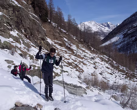 P3082215 A la recherche...