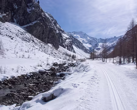 P3082278 Remont�e le long du torrent de Valeille, itin�raire rarement dam�