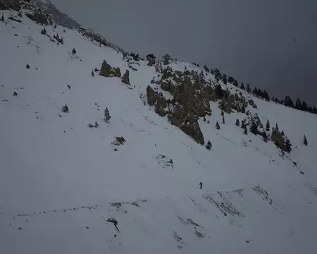 40 Gardons nos distances