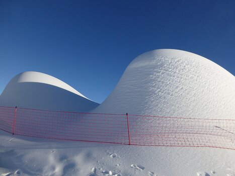 Bernadette Bernadette P, détail sortie