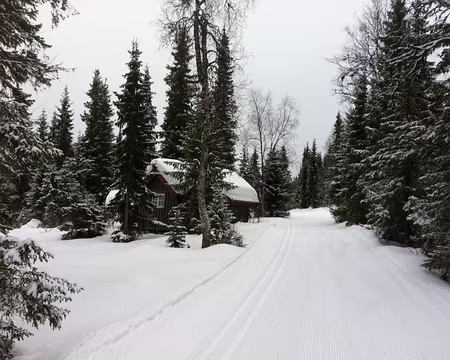 PXL026 Une cabane...