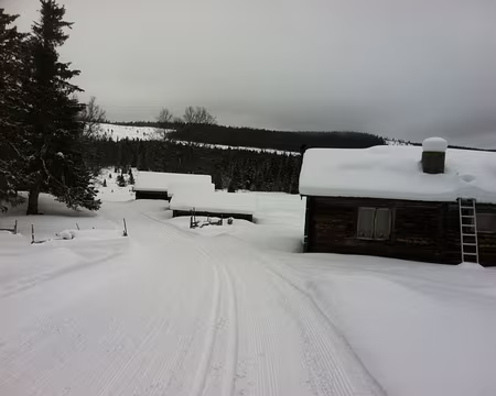 PXL029 Quelques maisons au bord de la piste.