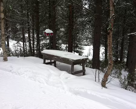 PXL033 Un bien joli nichoir.