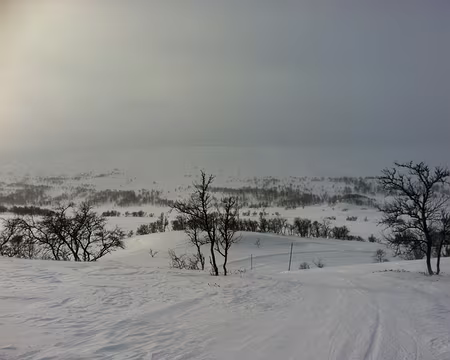 PXL035 Mardi 23 février 2016 : une montée matinale bien costaud...