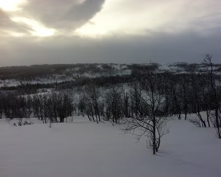 PXL038 Retour au calme relatif un peu plus bas.