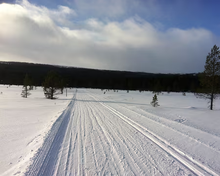 PXL040 Et enfin le retour du soleil !