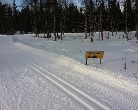 PXL041 Tiens... on va traverser une petite route !