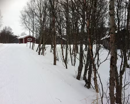 PXL044 Mercredi 24 février 2016 : je ne me lasse pas de voir ces jolies maisonnettes...