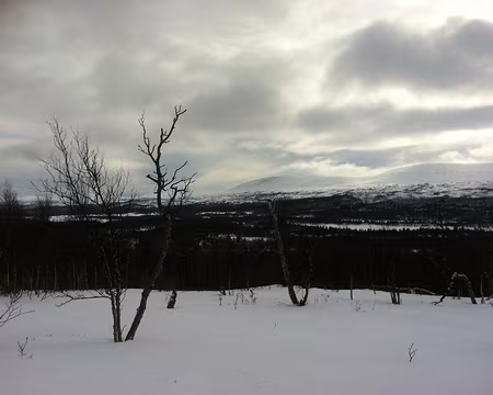 PXL047 ... et ces paysages inhabituels.